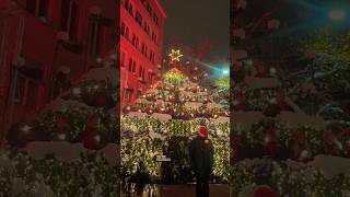 Singing Christmas tree 2024 Zürich Switzerland 🇨🇭 #shorts