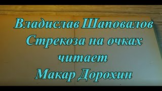 Владислав Шаповалов.  Стрекоза на очках. Читает Макар Дорохин