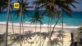 AA Travel Insurance