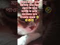 ব্যঙক হলো কিনা টাকা জমানো হয় না চার্চ জমা থাকে 🤣🤣🤣 funny cat shorts