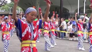 帯屋町筋ジュニア隊・原宿スーパーよさこい2016年8月27日、NHK前ストリート。