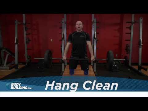 Hang Clean - Shoulders / Legs / Back Exercise - Bodybuilding.com Hang Clean - Shoulders / Legs / Back Exercise - Bodybuilding.com