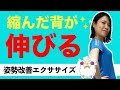 身長を伸ばすならコレ！猫背や低身長で悩んでいる方へ寝ながら行うエクササイズで簡単に身長を伸ばす方法をご紹介！【姿勢改善】