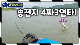 송전지 (이동저수지) 4짜 3연타 덩어리들은 여기있구나 - 배스낚시