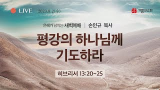 [용인기쁨의교회]2023년 8월 2일/새벽예배/손인규 목사/히13:20-25/평강의 하나님께 기도하라