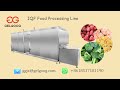 GELGOOG Machinery: IQF Frozen Food Machine Processing Line