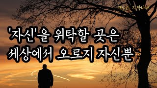 타인이란 구원이 아닌 위로이다. 닮음과 다름, 독립과 의존에 관한 아주 특별한 이야기 [서재 이혼 시키기]