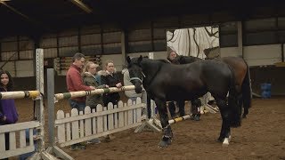 Equine Therapy Being Used to Help Wounded Warriors with TBI & PTSD