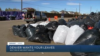 Denver wants your leaves