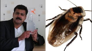 SPRAY THIS AVOID COCKROACH AT HOME ||ഇതുഒന്ന് സ്പ്രേചെയ്തതല്‍ പിന്നെ പാറ്റയുടെ പൊടിപോലും കാണില്ല