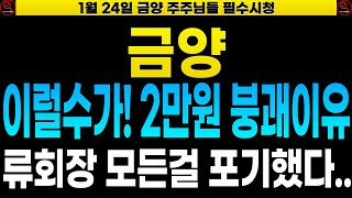 [금양 금양주가 금양주가전망] 🔴류광지 회장 포기했나 2만원 무너지자 \