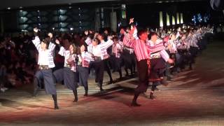 ドリーム夜さ来い2014 ～ 東京理科大学Yosakoi部 (2)