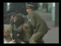 Daniel Craig Obsession Trailer