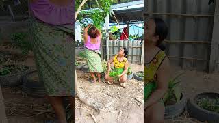 เก็บผักสะเดาอยู่ดีดีฮามาก #funny #comedy #ขำขัน #funnyvideo