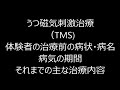 うつ磁気刺激治療（tms 　体験者の治療前の病状・病名　病気の期間　それまでの主な治療内容　うつ病治療・緩和