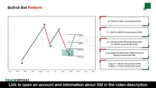 XM | Lesson 8 2 Harmonic Patterns | Forex