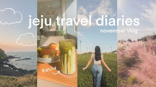 jeju island vlog 🌴 tangerine garden, souvenir shops, visiting museums, lots of food!