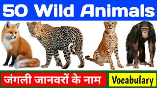 50 wild animals name, 50 जंगली जानवरों  के नाम, animal names, wild animals name in hindi and english