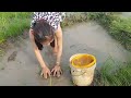 Beautiful girl Fishing In Pailin Province  Khmer Net Fishing   Cambodia Traditional Fishing