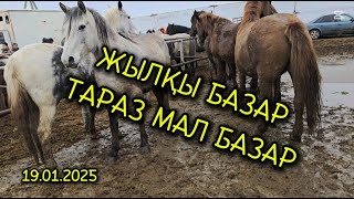 ЖЫЛҚЫ БАЗАР / ТАРАЗ МАЛ БАЗАР 19.01.2025