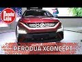 Perodua X Concept - Apakah Ini Bakal Jadi Model Terbaru Dari Perodua?