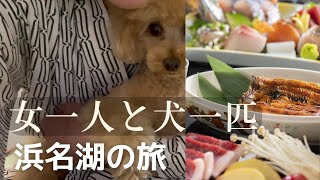 【ドッグラン】豊田上郷SA上り/24時間無料【女一人と一匹旅】東名高速　Dog Walking at Toyota Kamigou (SA) for 24 Hours for Free!