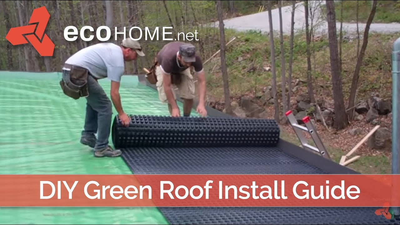 Diy Living Green Roof Installation Youtube