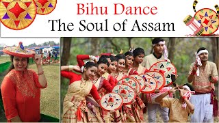 Bihu Dance// Assamese dance// Soul of Assam/ History of Bihu dance/Bihu dance created World Record