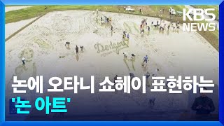 [글로벌K] 일본, 논에 오타니 쇼헤이 선수 표현하는 ‘논 아트’ / KBS  2024.06.06.