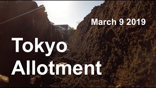 Tokyo Allotment - March 9 2019