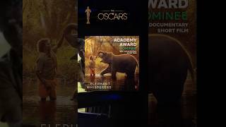 The Elephant Whisperer 🐘(Oscar winning Short film) (trailer link in comment) #viral #oscars #shorts