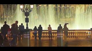 Highlights from a Date Night | Las Vegas Escort