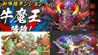 【新降臨に新キャラで】新降臨牛魔王降臨に本日実装の極醒風神で挑む！！！！　【パズドラ】