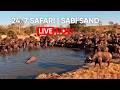 Live Safari from Nkorho Bush Lodge | 24/7 Wildlife in Sabi Sand, South Africa