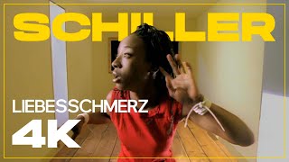 SCHILLER: „Liebesschmerz” // 4K