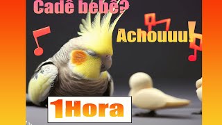 CADE BEBÊ?? ACHOU!!! - ENSINANDO SUA CALOPSITA, PAPAGAIO A FALAR  - 1HORA DE ViDEO [APROVADO]