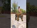 tiger 🐅 vfx funny magic video #shorts |kinemaster editing magic video#shortfeed #viral