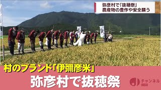 収穫の秋…恵みに感謝 弥彦村の「抜穂祭（ぬきほさい）」スーパーJにいがた9月14日OA