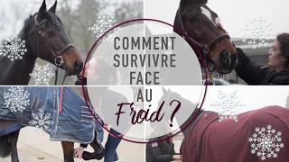 ASTUCES HIVER : Comment ne pas geler au poney !