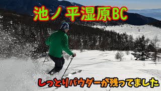 【池ノ平湿原BC】2025/2/25（火）標高2000ｍのお手軽斜面、しっとりパウダーがしっかり残ってました♪