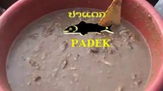 #ສະລະດະດີປາແດກລາວ #สาละคະดีปาแดกลาว #Padaek - Fermented Fish Sauce