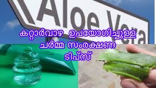 കറ്റാർവാഴ ഉപയോഗിച്ചുള്ള ബ്യൂട്ടി ടിപ്സ് SURYA'S HOME REMEDY #suryashomeremedy #aloeveragel