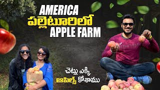 USA Village Organic Apple Farm | A day with our family | America Vlogs | Ravi Telugu Traveller