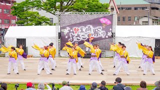 [4K] 崇城大学～華咲流舞～　黒崎よさこい祭り 2022 2日目 メイン会場