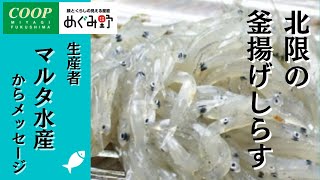 「めぐみ野」生産者からのメッセージ～北限の釜揚げしらす～