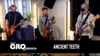 Ancient Teeth - Full Performance (Live at CJLO 1690AM)