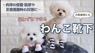 【裁縫なし】愛犬用の靴下を滑りにくい＆脱げにくく手作り！〜肉球の保護・防寒(熱)・滑り防止・災害避難時の対策に〜