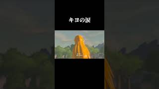 キヨが史上最高の神ゲー「ゼルダの伝説 ブレスオブザワイルド」に感動して涙を流す