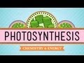 Photosynthesis: Crash Course Biology #8