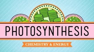Photosynthesis: Crash Course Biology #8